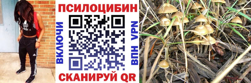 Галлюциногенные грибы Psilocybine cubensis  Шахты 