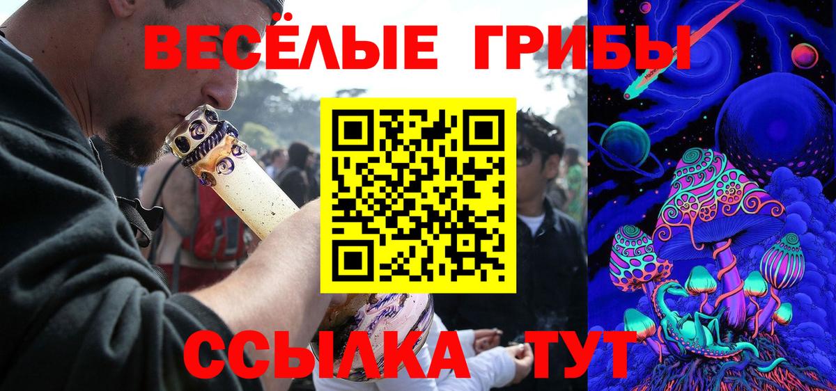 что такое наркотик  Галлюциногенные грибы Psilocybe  Вход с VPN  Шахты 