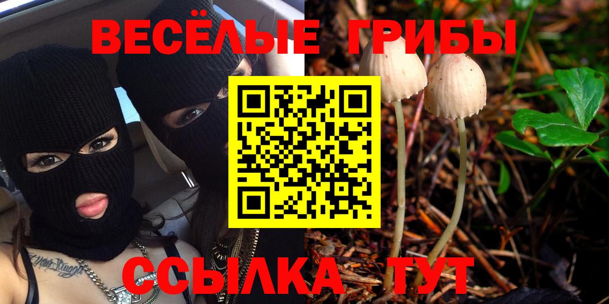МЕФ кристаллы  ГАШ  МДМА  Кокаин  Шахты  Конопля  Вход с VPN 