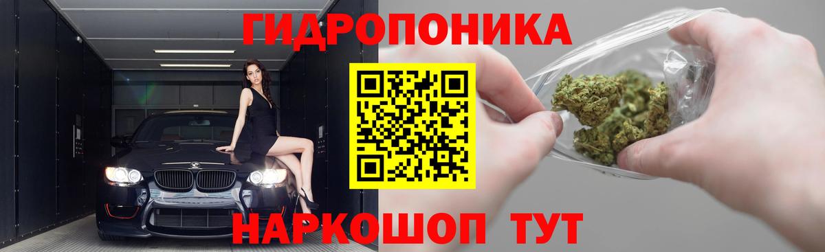 Шишки марихуана семена  Марихуана Bruce Banner  Каннабис конопля  Шахты  Вход с VPN 
